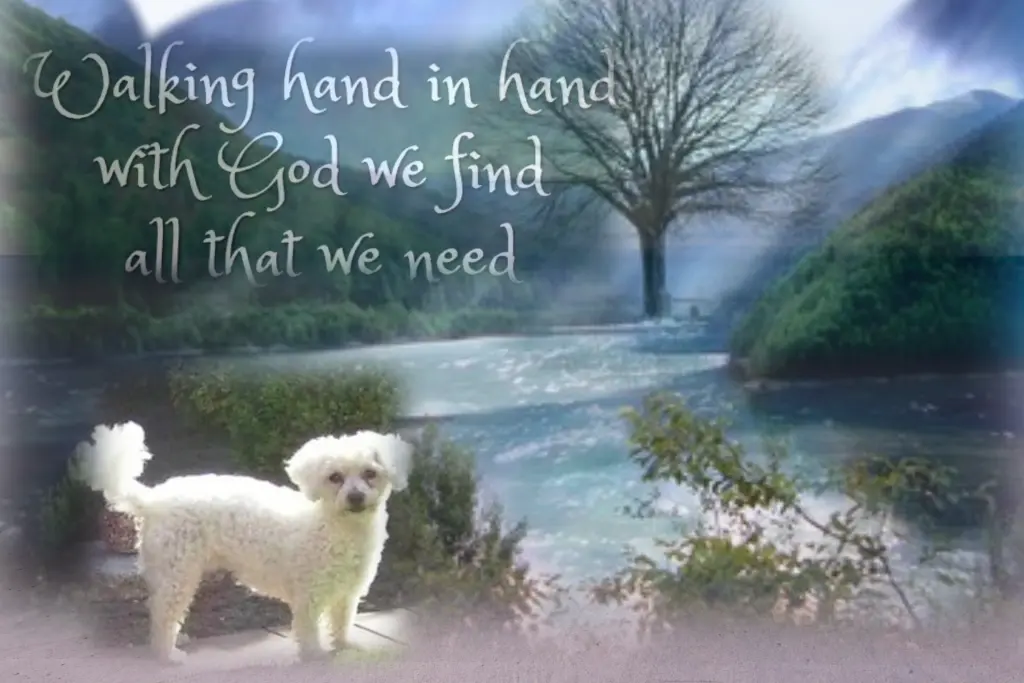 Andachtsbild von Gaby mit Snowy im Herzen 