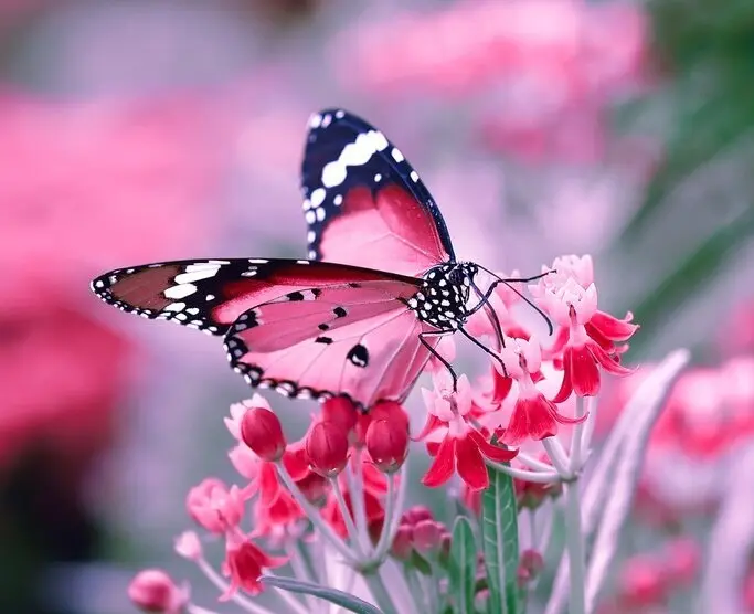 Andachtsbild von Sternchentag ❤️