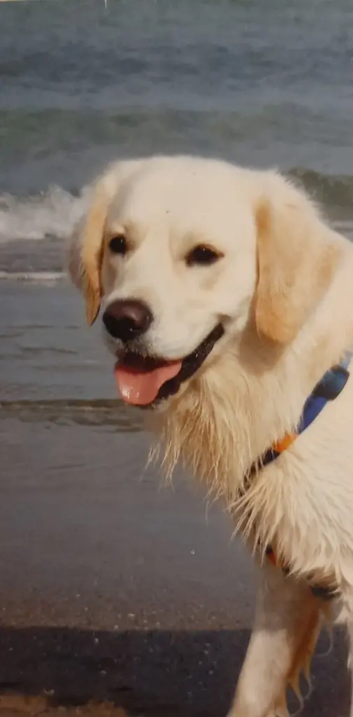 Andachtsbild von Claudia mit ASKO❤️ 