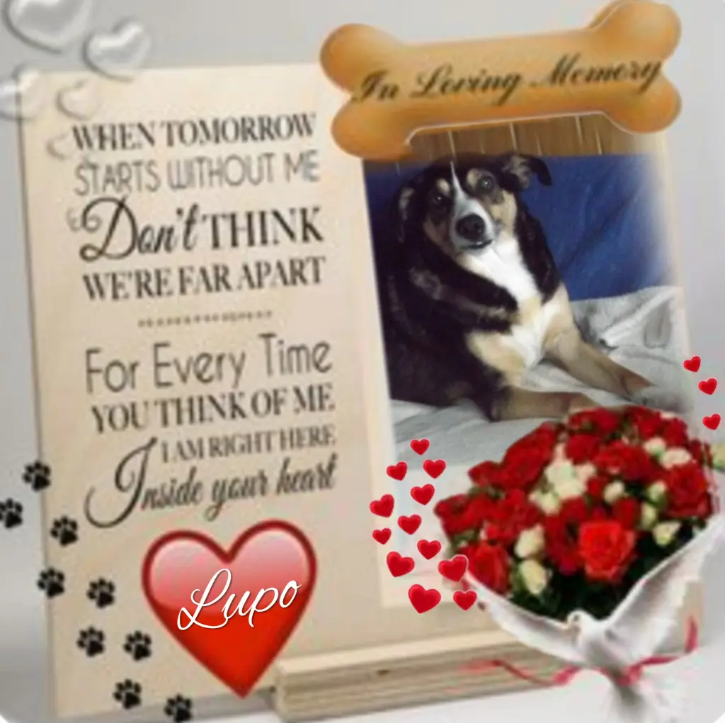 Andachtsbild von ❤️to❤️