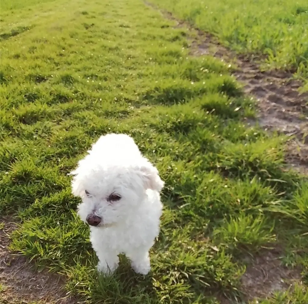 Andachtsbild von Gaby mit Snowy ❤️