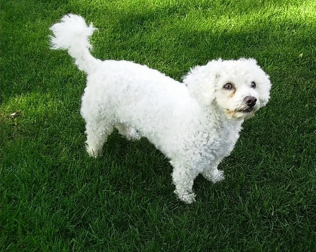 Andachtsbild von ♥️