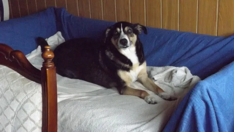 Andachtsbild von Lupo für Mama❤️