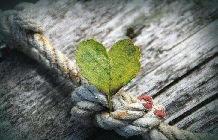 Andachtsbild von ♡