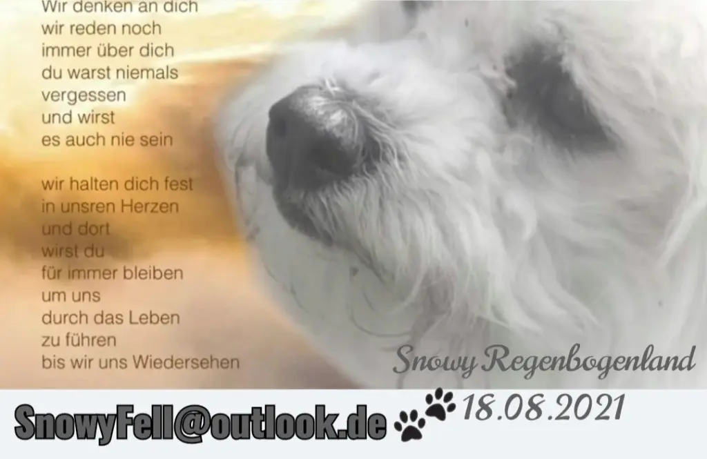 Andachtsbild von Gaby mit Snowy ❤️