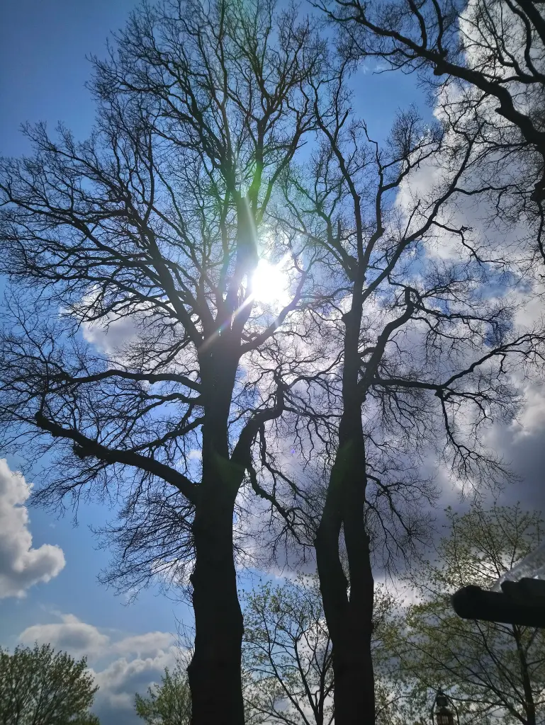 Andachtsbild von Unbekannt