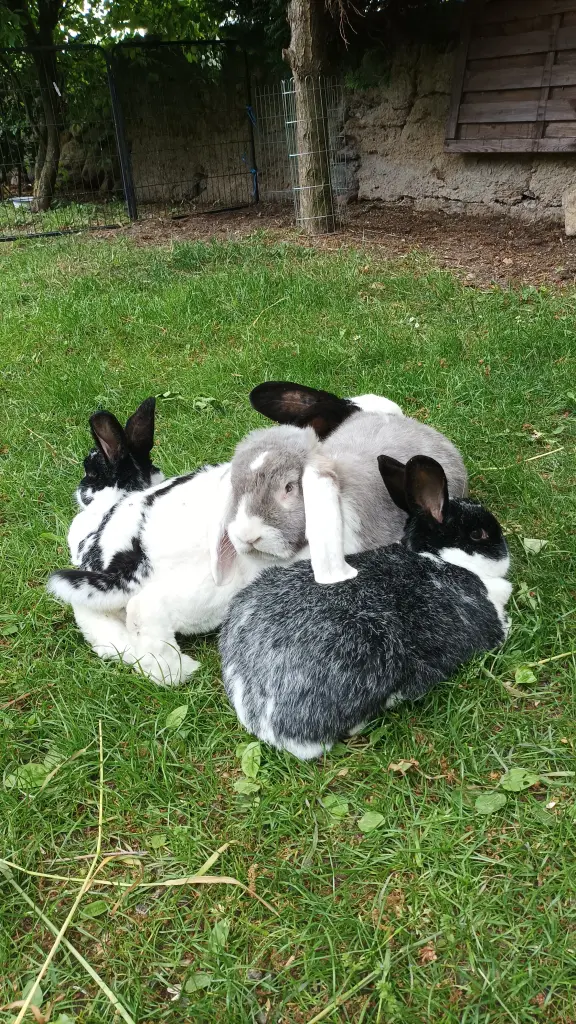 Andachtsbild von Unbekannt