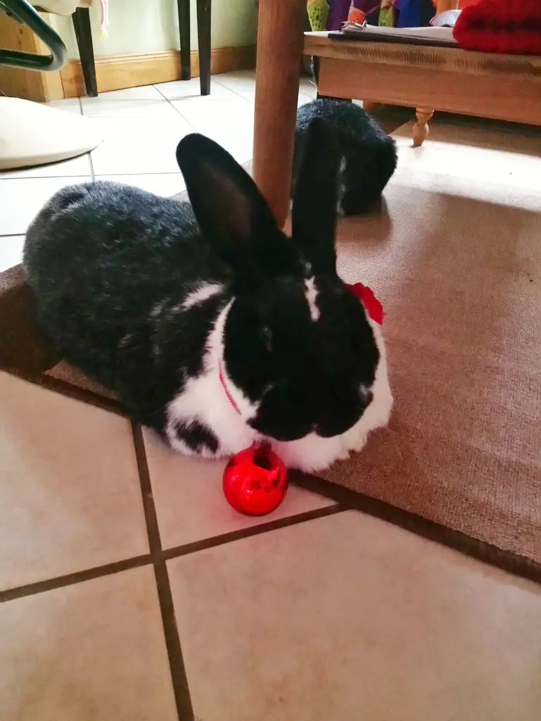 Andachtsbild von Unbekannt