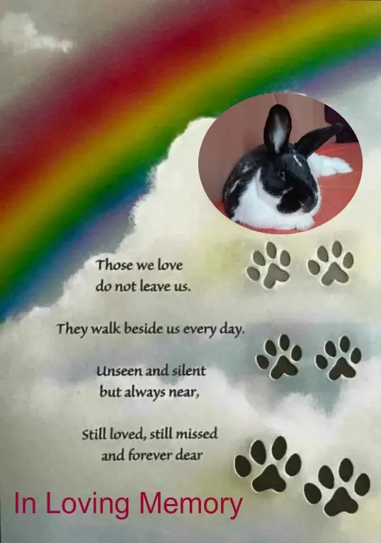 Andachtsbild von 1.Sternchen❤️ Gedenktag❤️