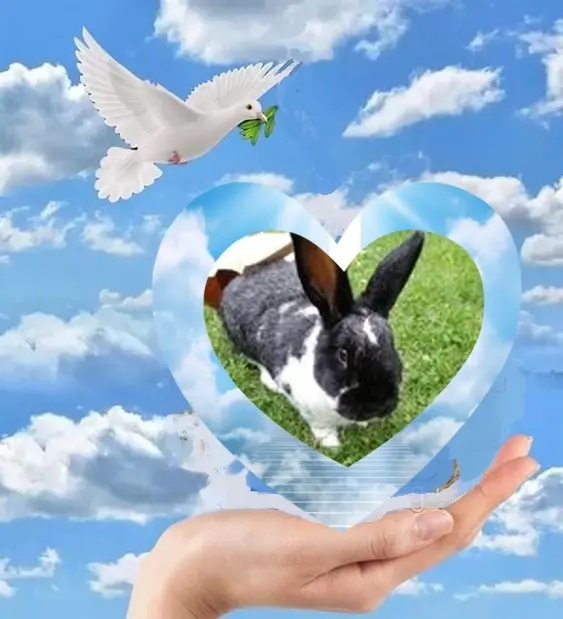 Andachtsbild von 1.Sternchen❤️ Gedenktag❤️