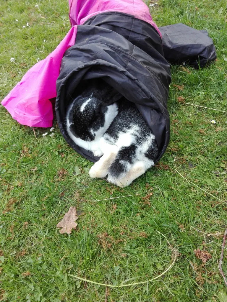 Andachtsbild von Unbekannt