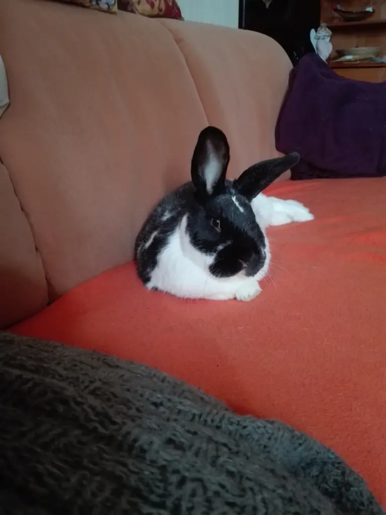 Bild von Tommy❤️