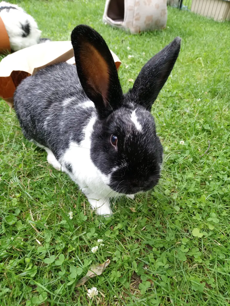 Bild von Tommy❤️