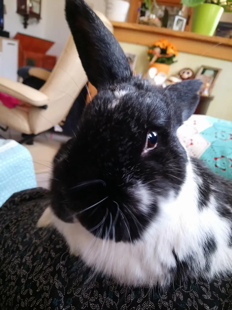 Bild von Tommy❤️