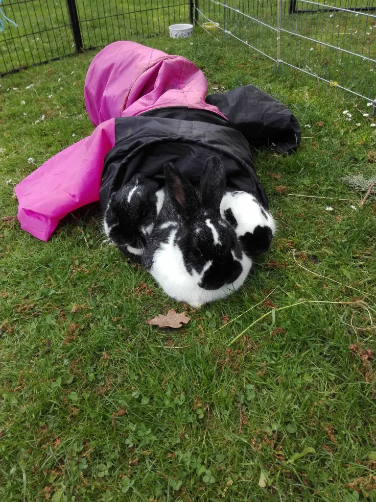 Bild von Tommy❤️