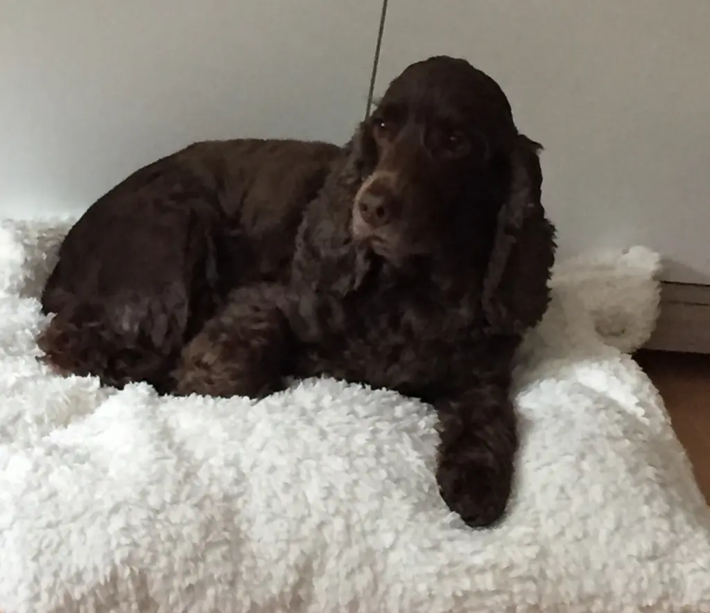 Condolence image of Kerstin 