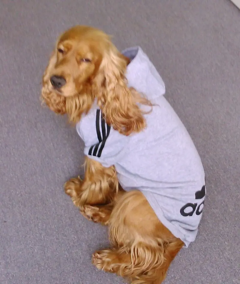 Condolence image of Jacqueline 