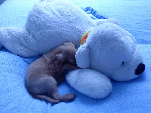 Condolence image of Jacqueline 