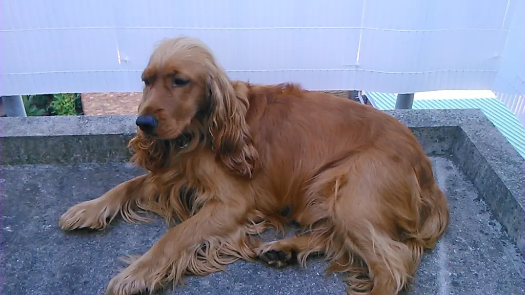 Condolence image of Chris