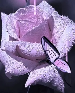 Condolence image of In Liebe 