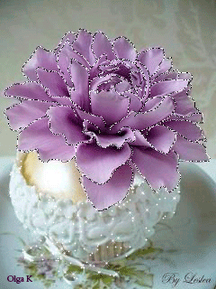 Condolence image of In Liebe für Diego