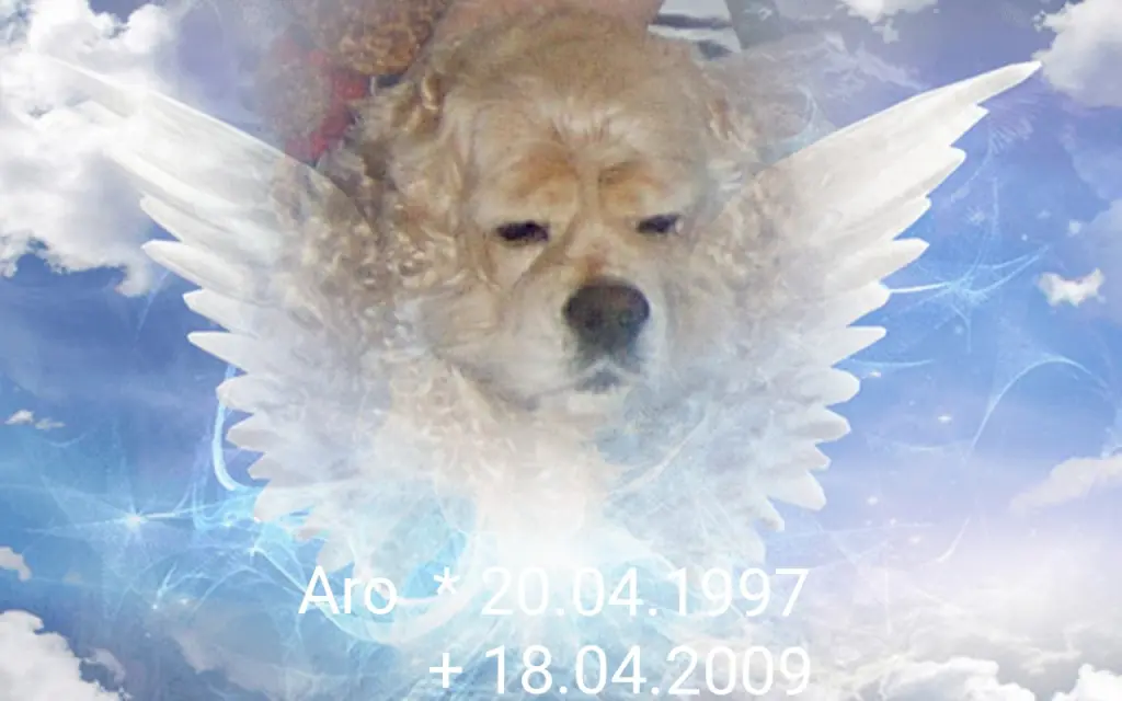 Condolence image of Mama & Papa