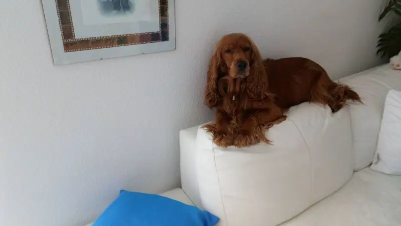 Condolence image of Mama in ewiger Liebe