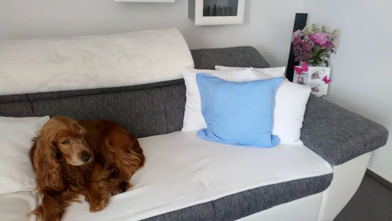 Condolence image of Du fehlst......