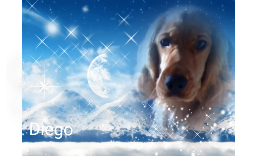 Condolence image of Unbekannt