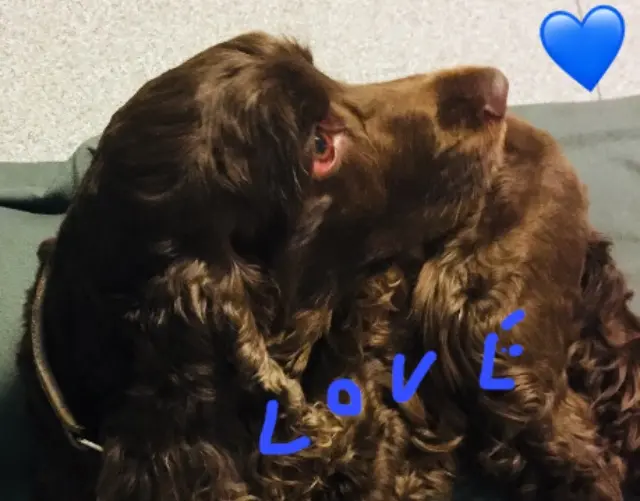 Condolence image of Kerstin