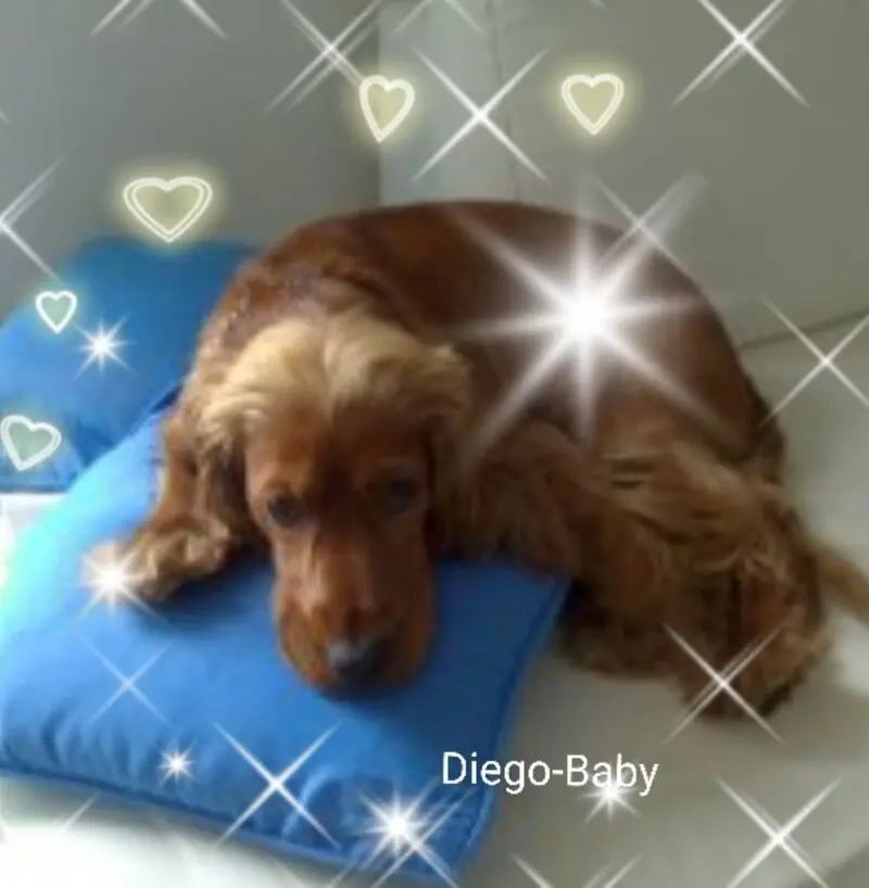 Condolence image of Unbekannt