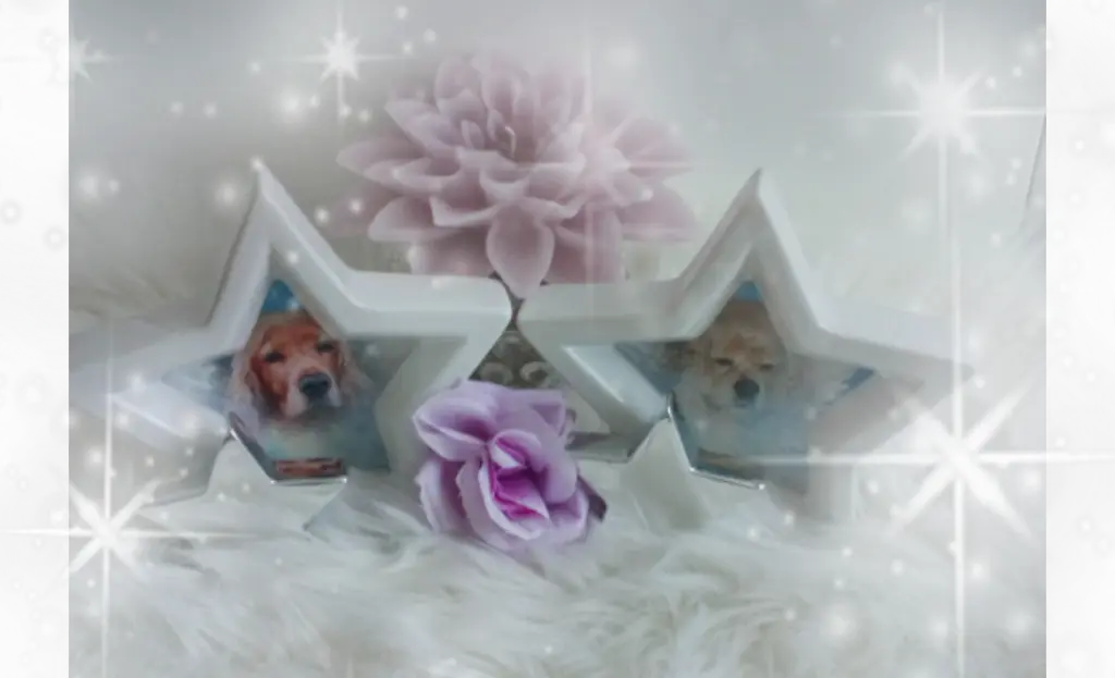 Condolence image of Mama