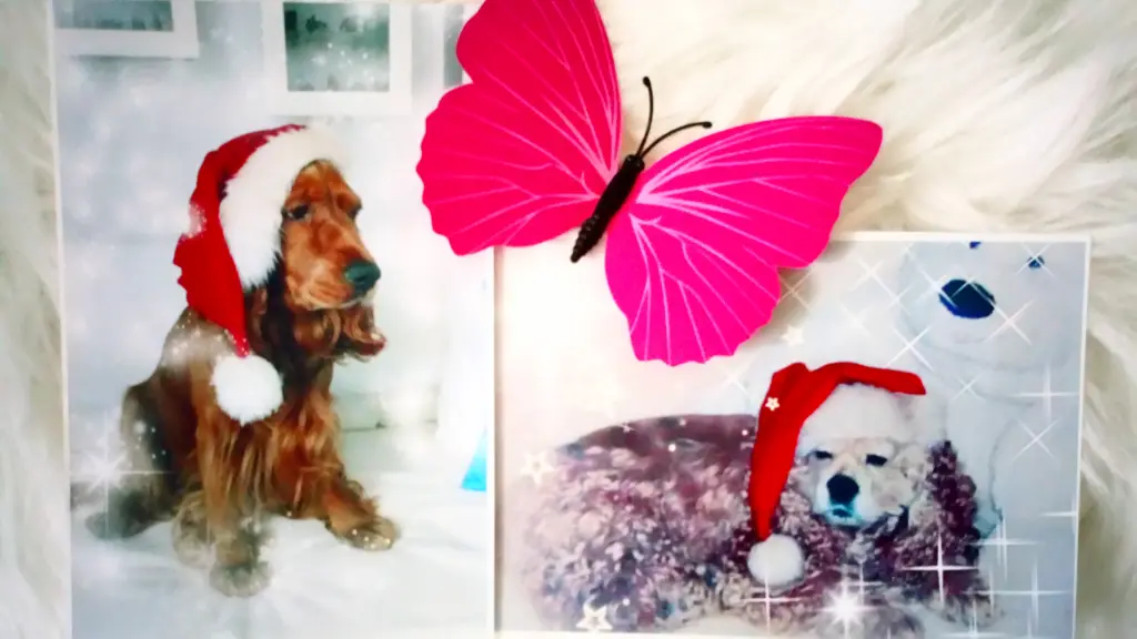 Condolence image of Nikolaus