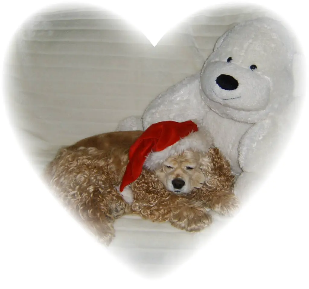 Condolence image of Unbekannt