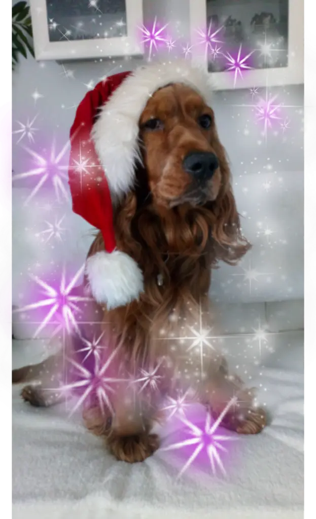 Condolence image of Unbekannt