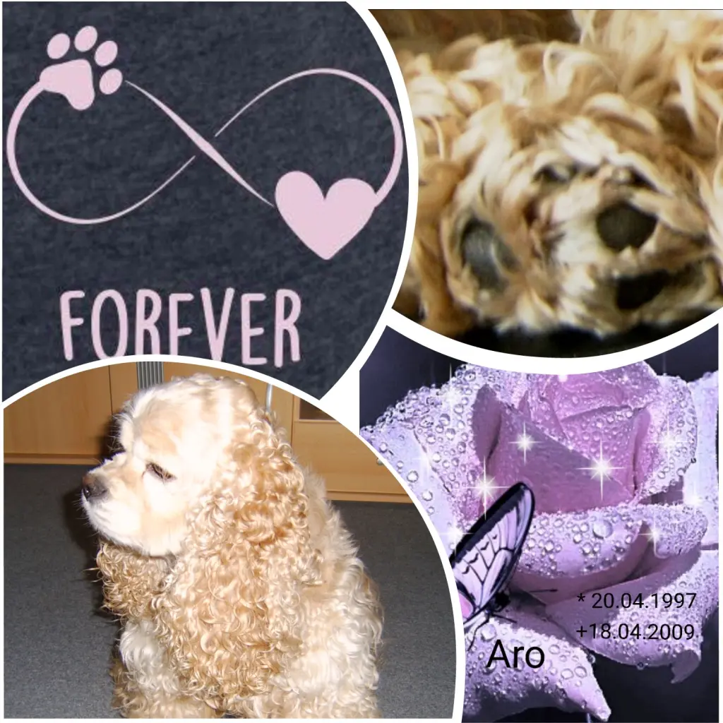 Condolence image of In ewiger Liebe 