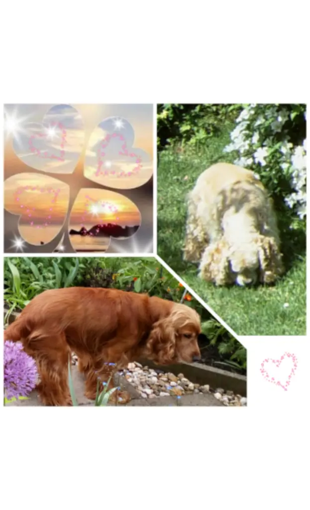 Condolence image of Mama in ewiger Liebe