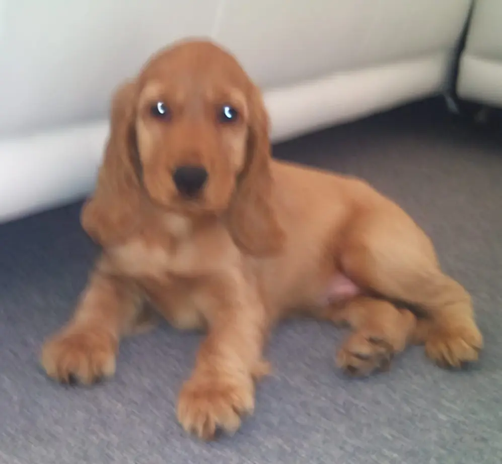 Condolence image of Chris