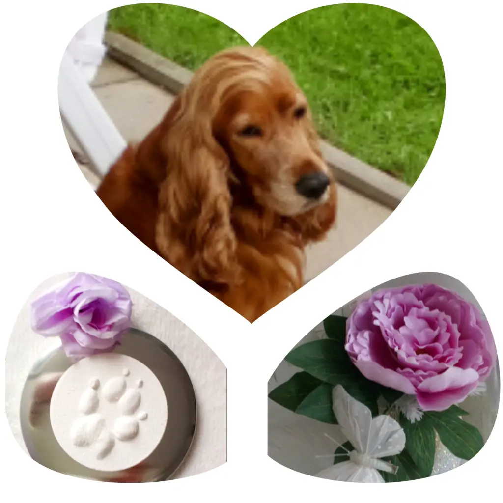 Condolence image of Mama in ewiger  Liebe 