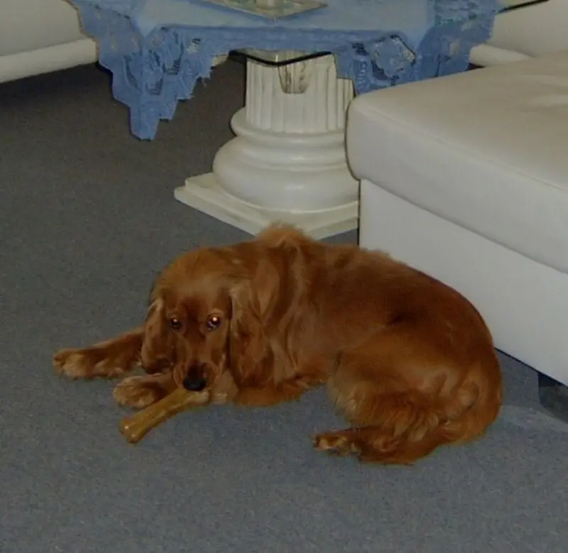 Condolence image of Mama in ewiger Liebe 