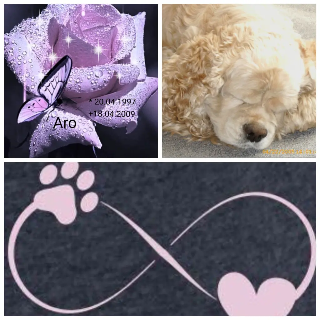 Condolence image of Mama in ewiger  Liebe 