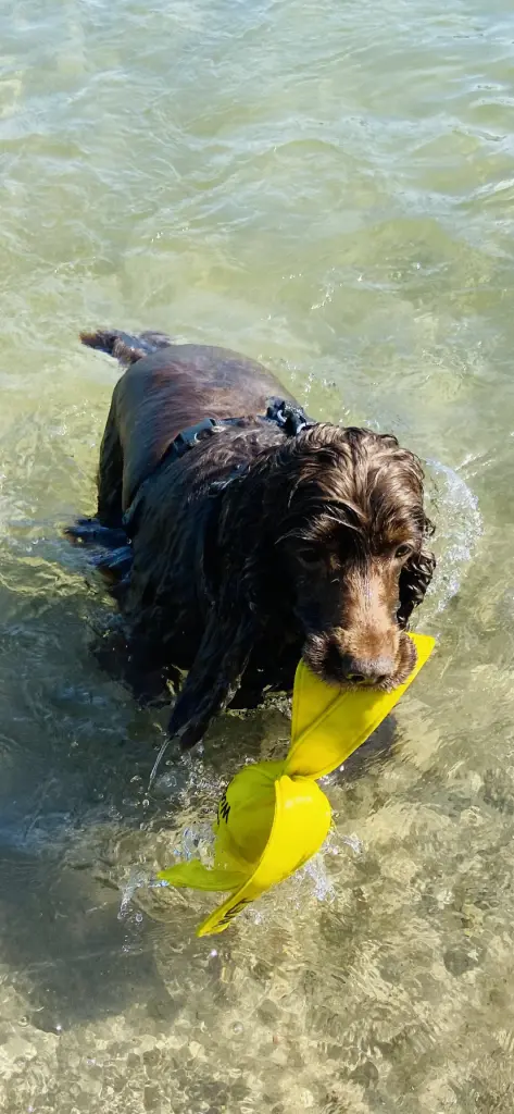 Condolence image of Kerstin mit Linus im Himmel 