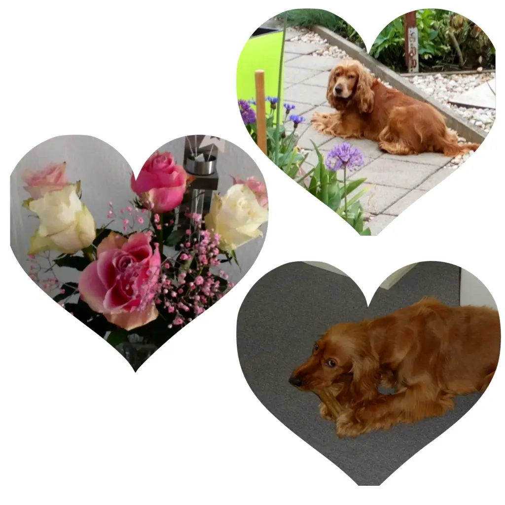 Condolence image of ❤ILoveYou 