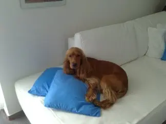 Condolence image of Mama in ewiger Liebe❤  