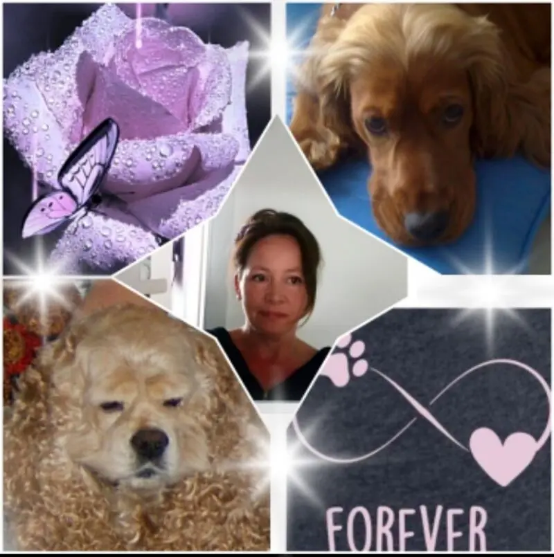 Condolence image of Mama in ewiger Liebe ❤ 