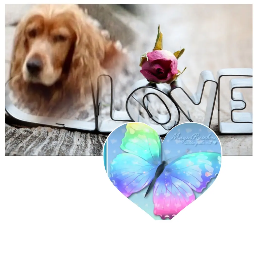 Condolence image of Mama in ewiger Liebe ❤ 