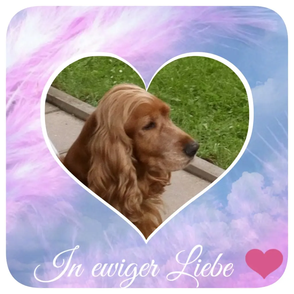Condolence image of Mama in ewiger Liebe ❤