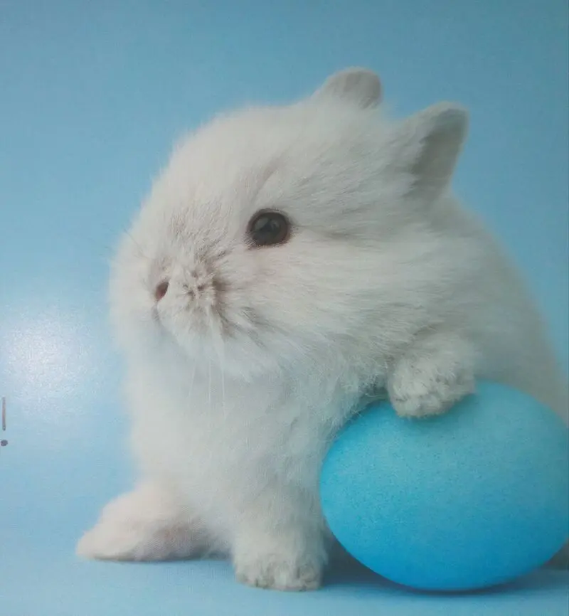 Condolence image of Karfreitag