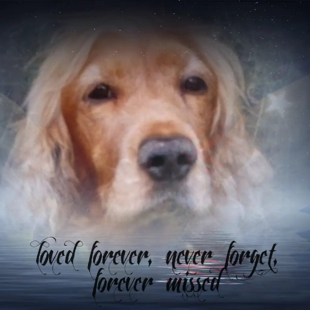 Condolence image of Mama in ewiger Liebe ❤