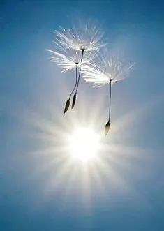 Condolence image of Mama in ewiger Liebe ❤ 